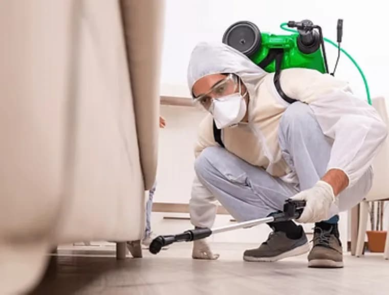 Aplicação profissional de controle de pragas em ambiente residencial